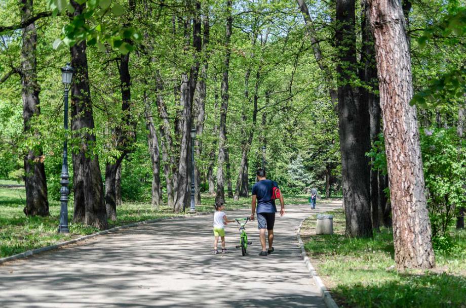 На книжен пикник в парка