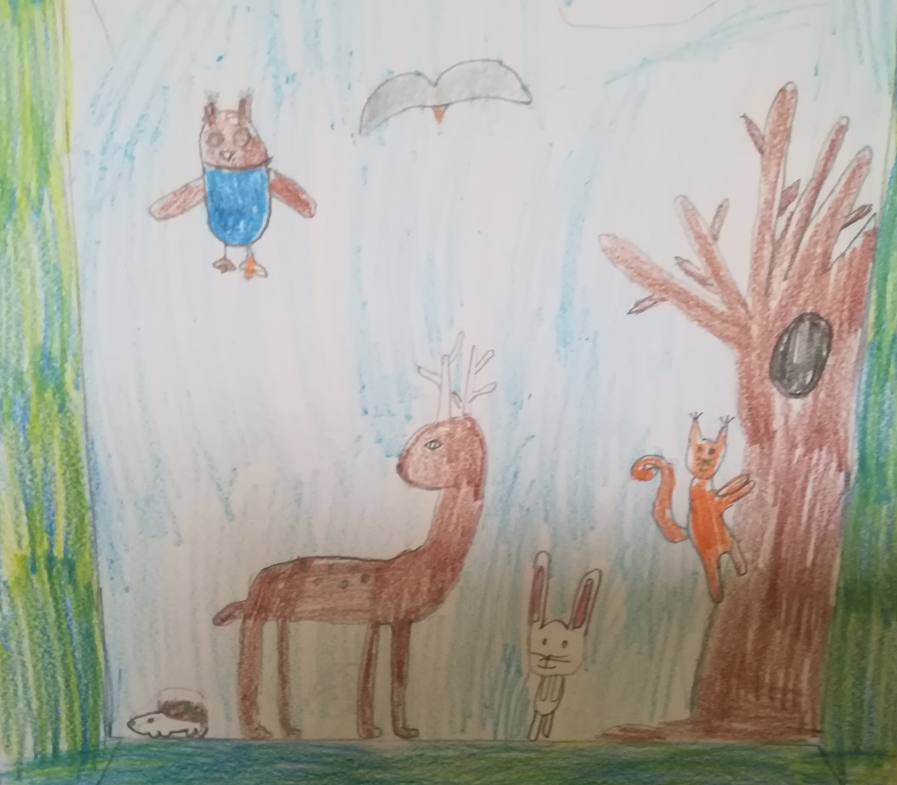 На горската поляна   