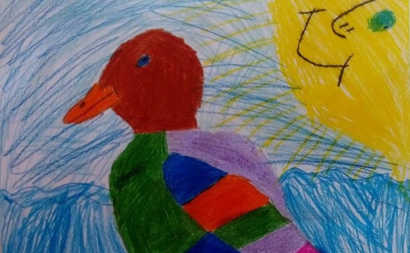 Дива патица 