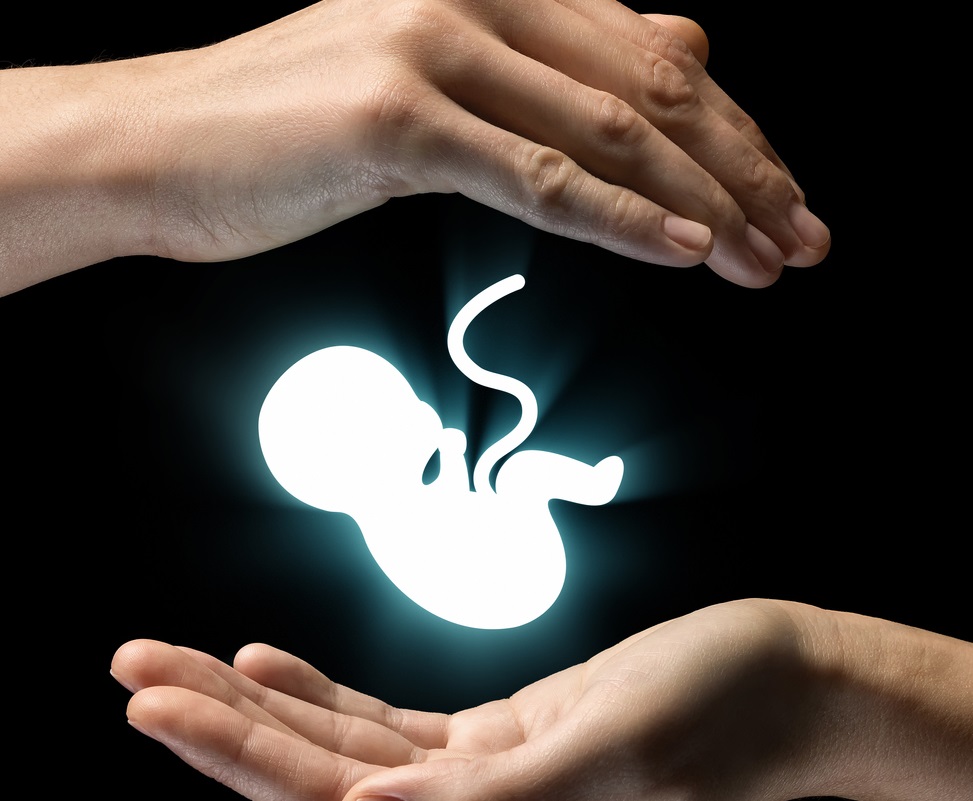 8 любопитни факта за бебето в утробата 
