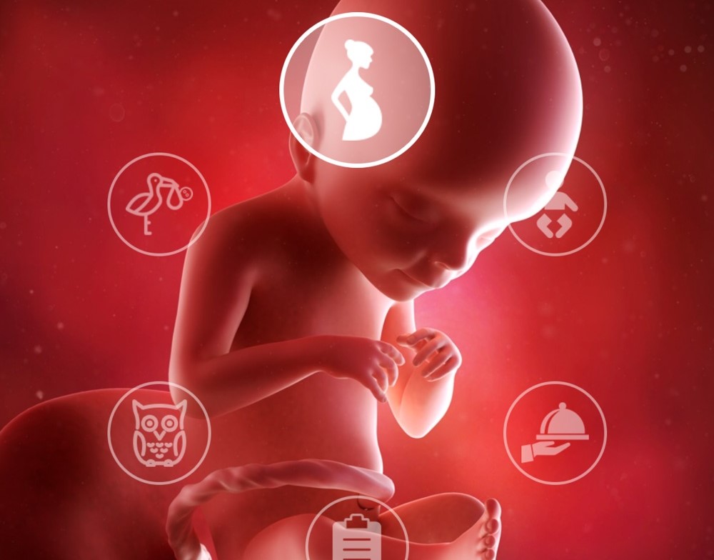 Създадоха мобилно приложение за бременни на български език 
