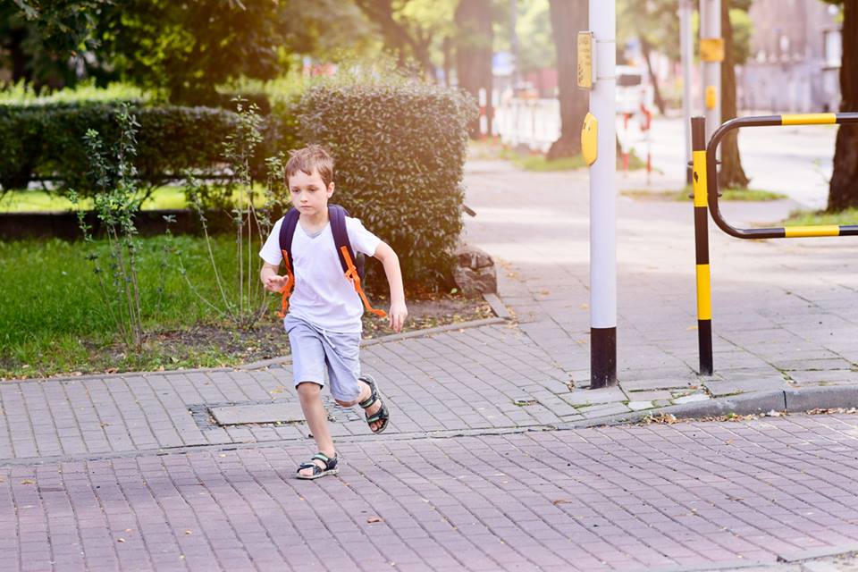 Защо децата не могат да преценяват обективно опасността на пътя 