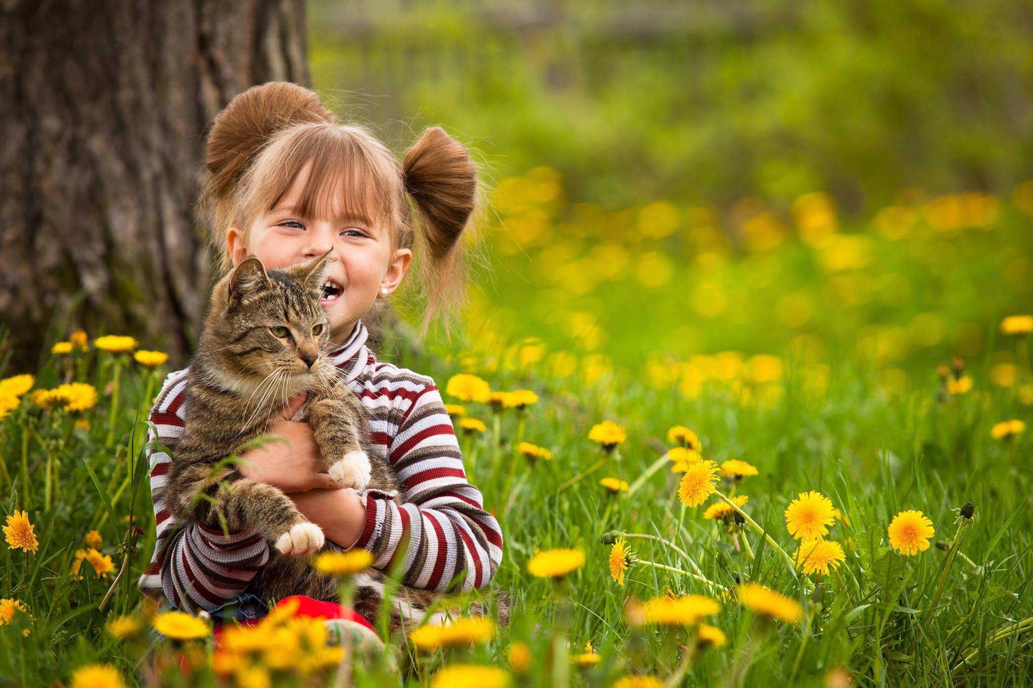 Учени: Котките не са опасни за детската психика 