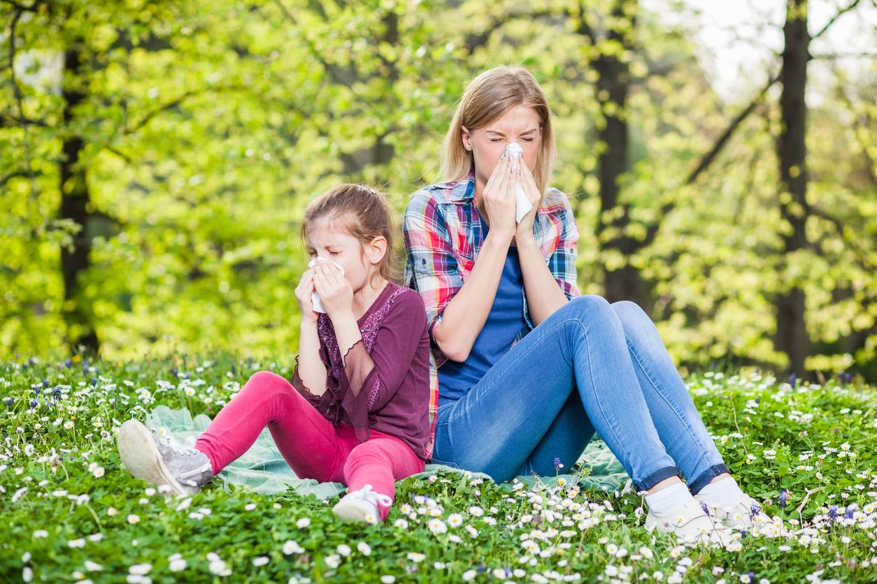 Цъфнаха брезите – най-мощният алерген литна във въздуха 