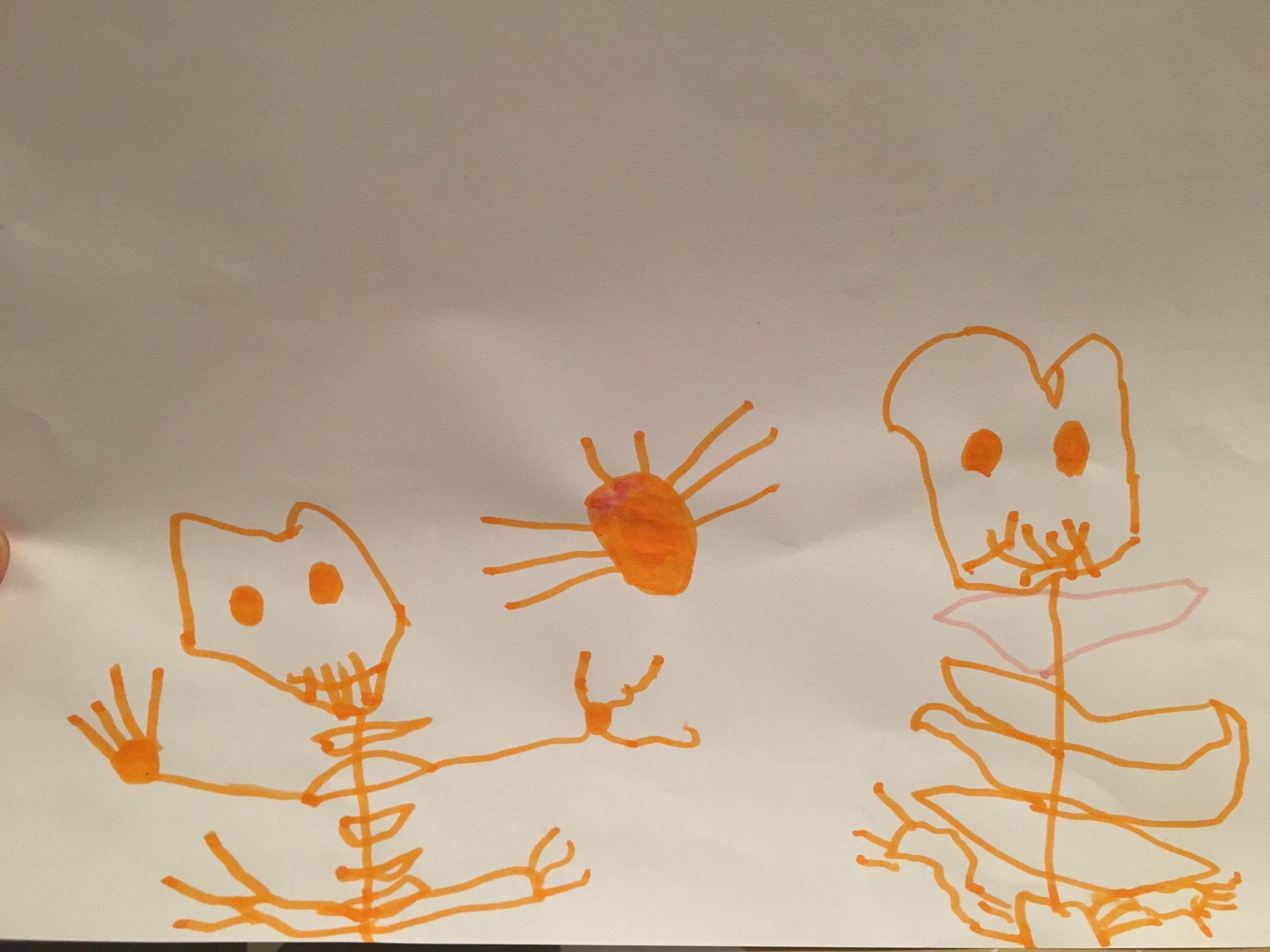 Два скелета и паяк