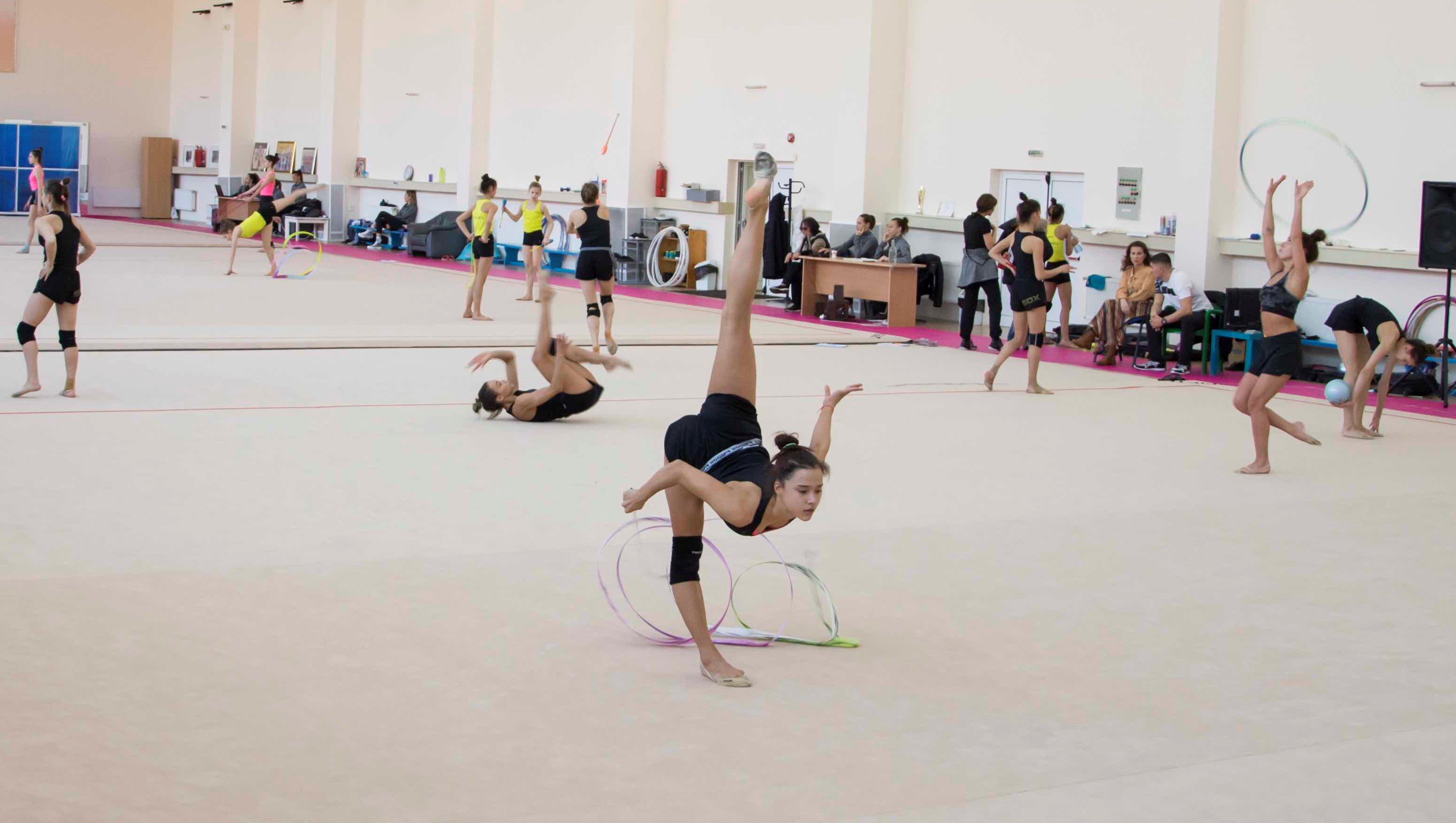 Димитър Бербатов подкрепя кауза на художествената гимнастика 