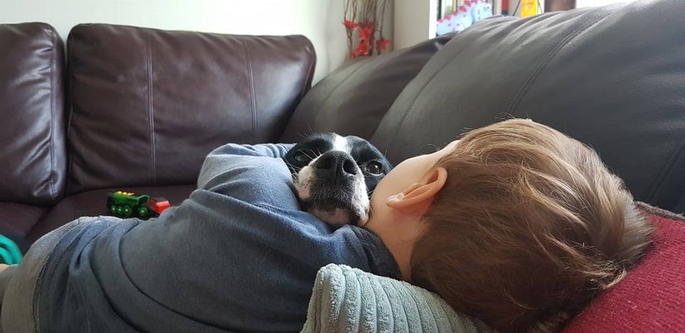 Братската любов като малка лодка в бурно море