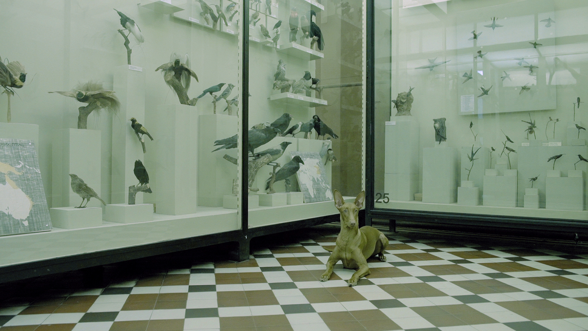 Съвременно изкуство за деца