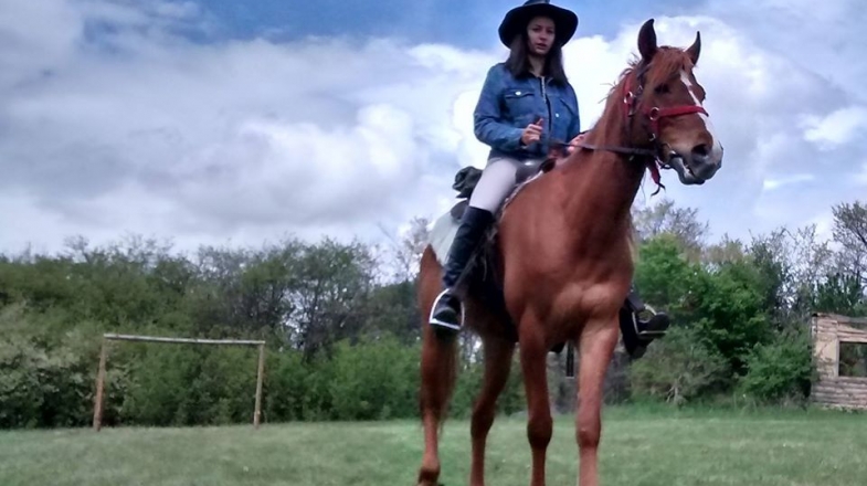Урок по езда и разходка на кон 