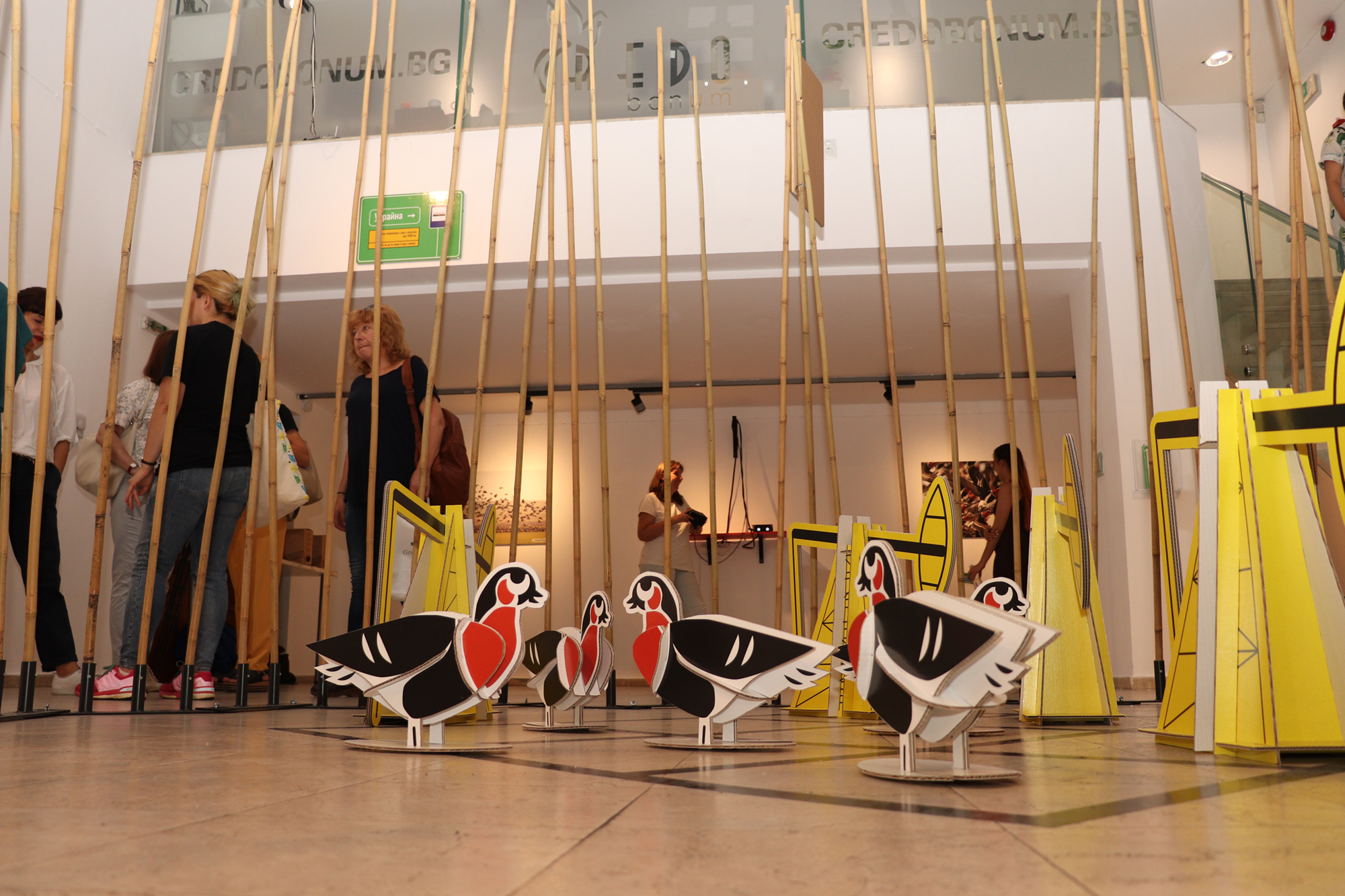 Изложба-игра следи прелетния път на червеногушата гъска 