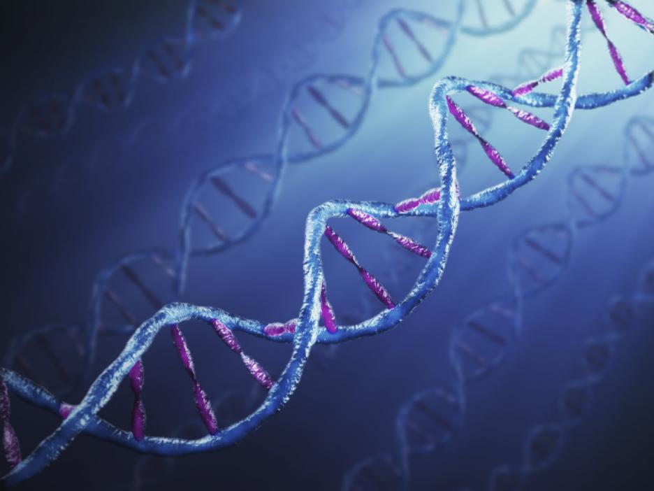 10 интересни факта за ДНК 
