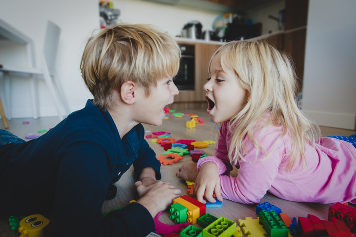 Две деца в къщи: основни правила за спокоен живот