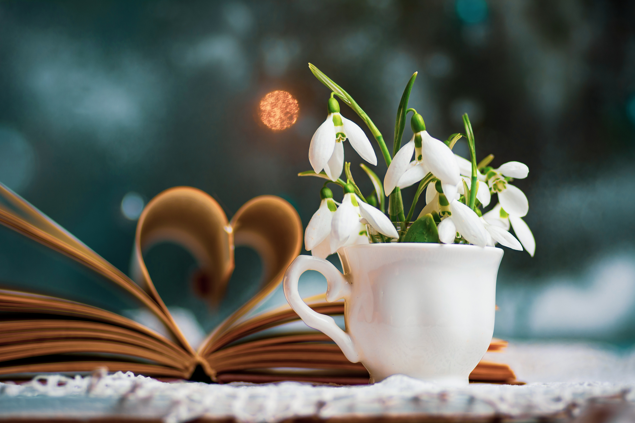  Незабравимите жени 