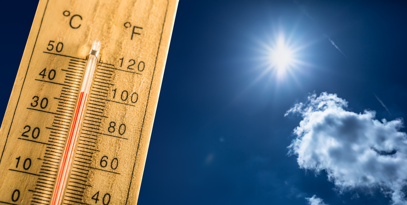 Как да се спасите от жегата: 9 проверени съвета 