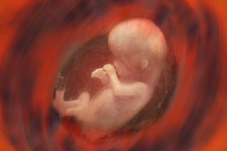 9 удивителни факта за майката и бебето в утробата  