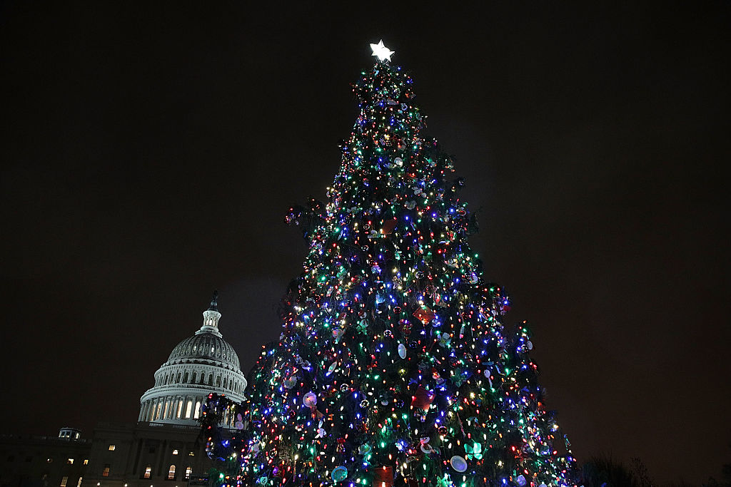 Коледното дърво във Вашингтон светна 