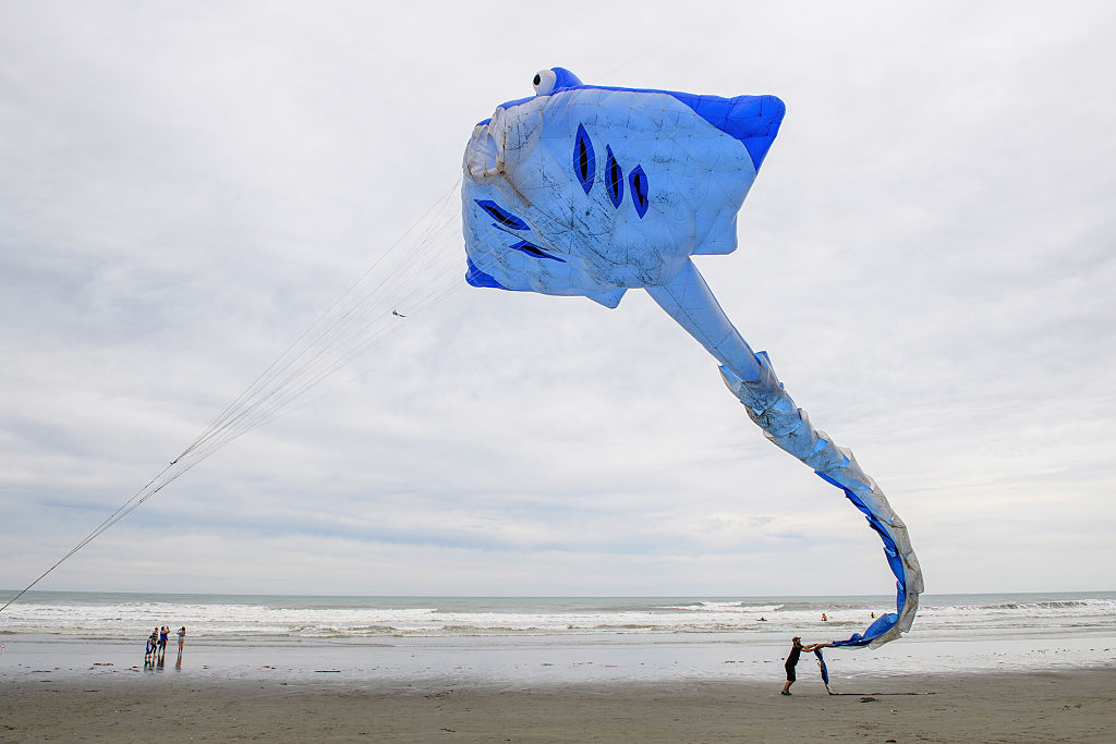  Ден на хвърчилата в Нова Зеландия  