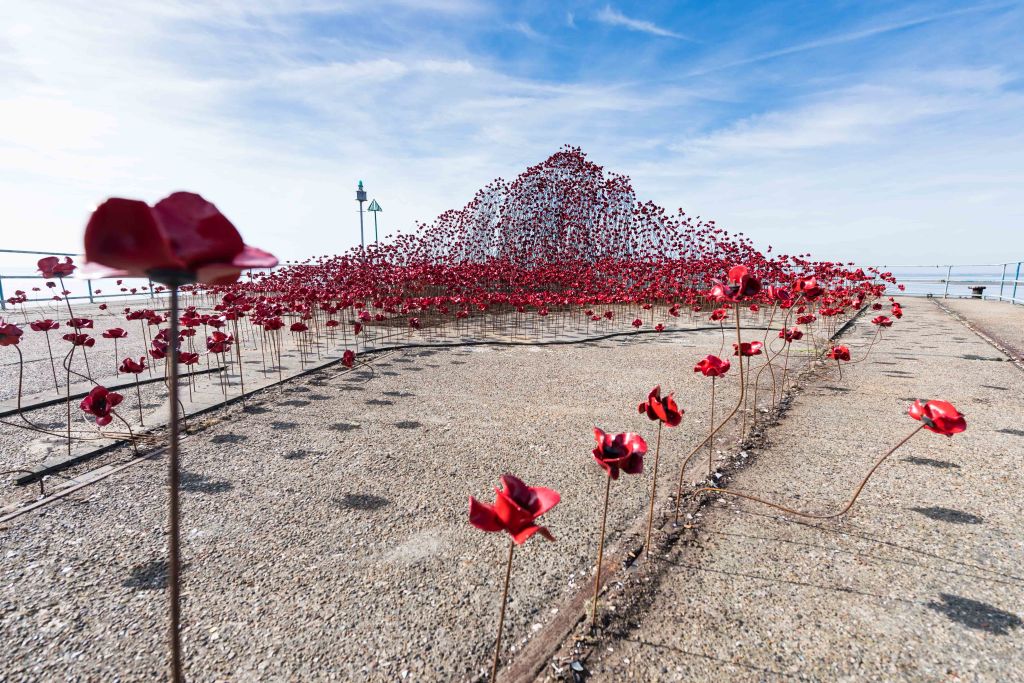 Невероятна инсталация на керамични макове