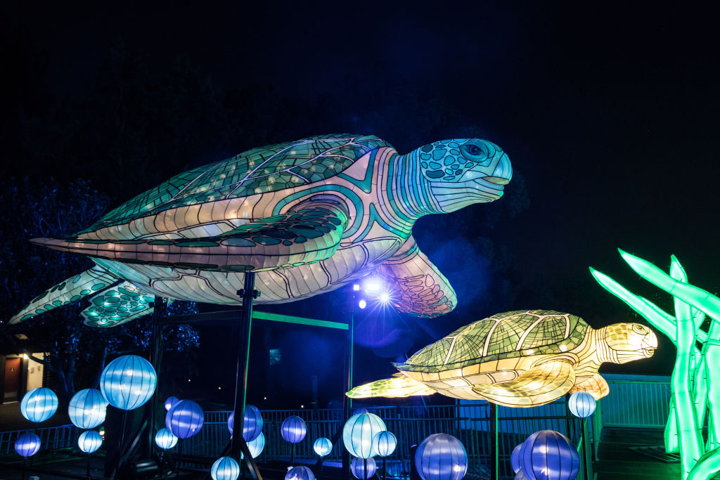 Блестящият Сидни – фестивал в зоопарка Таронга 