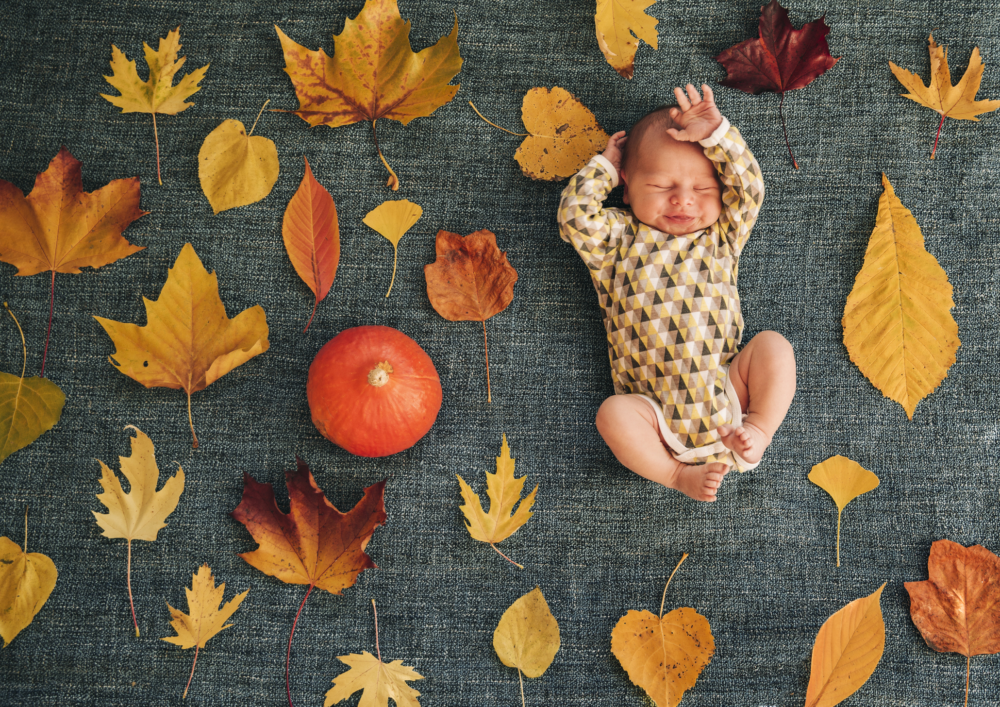 5 удивителни факта за родените през ноември  