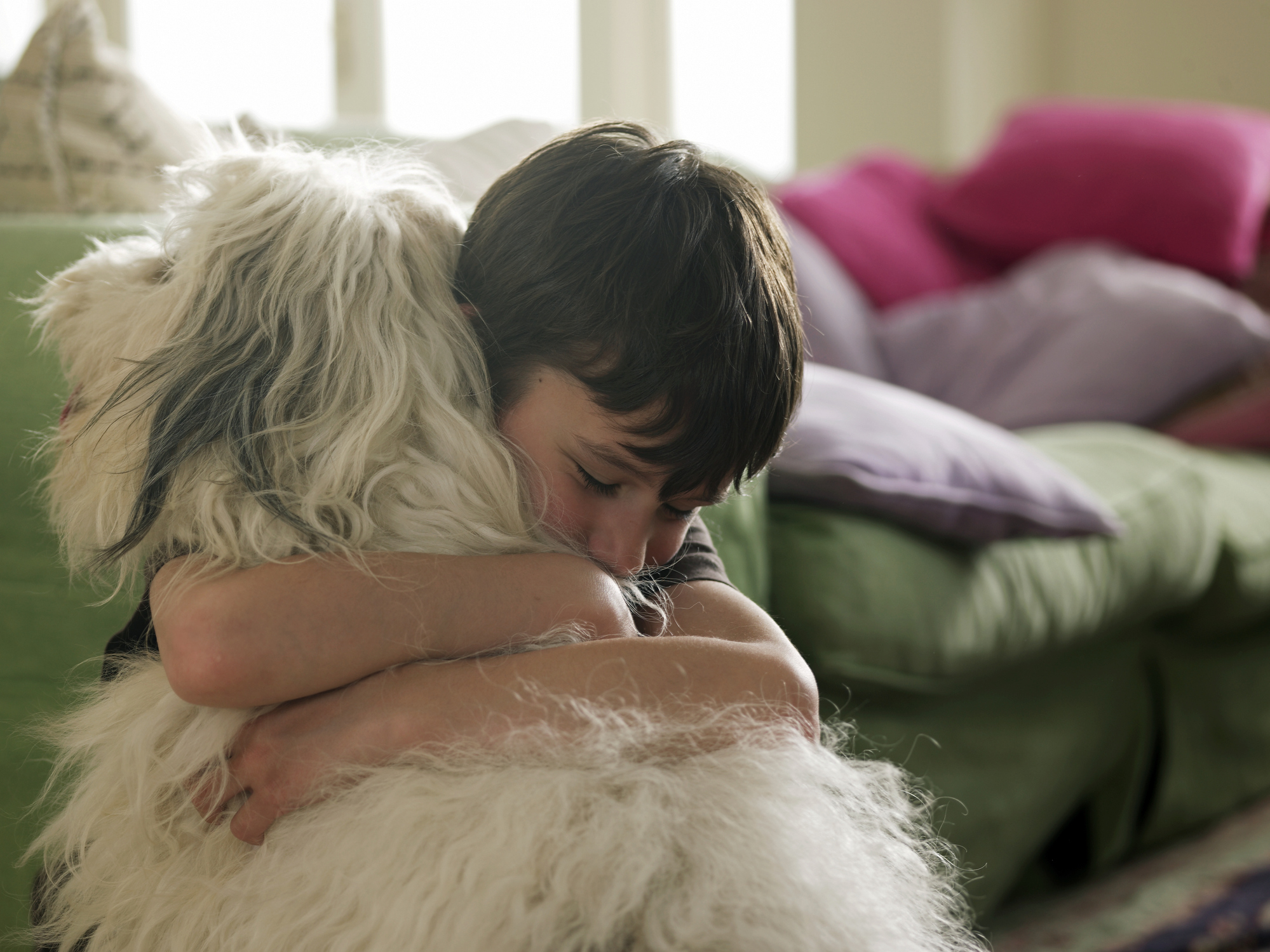Детето иска коте или куче: как тактично да откажем 