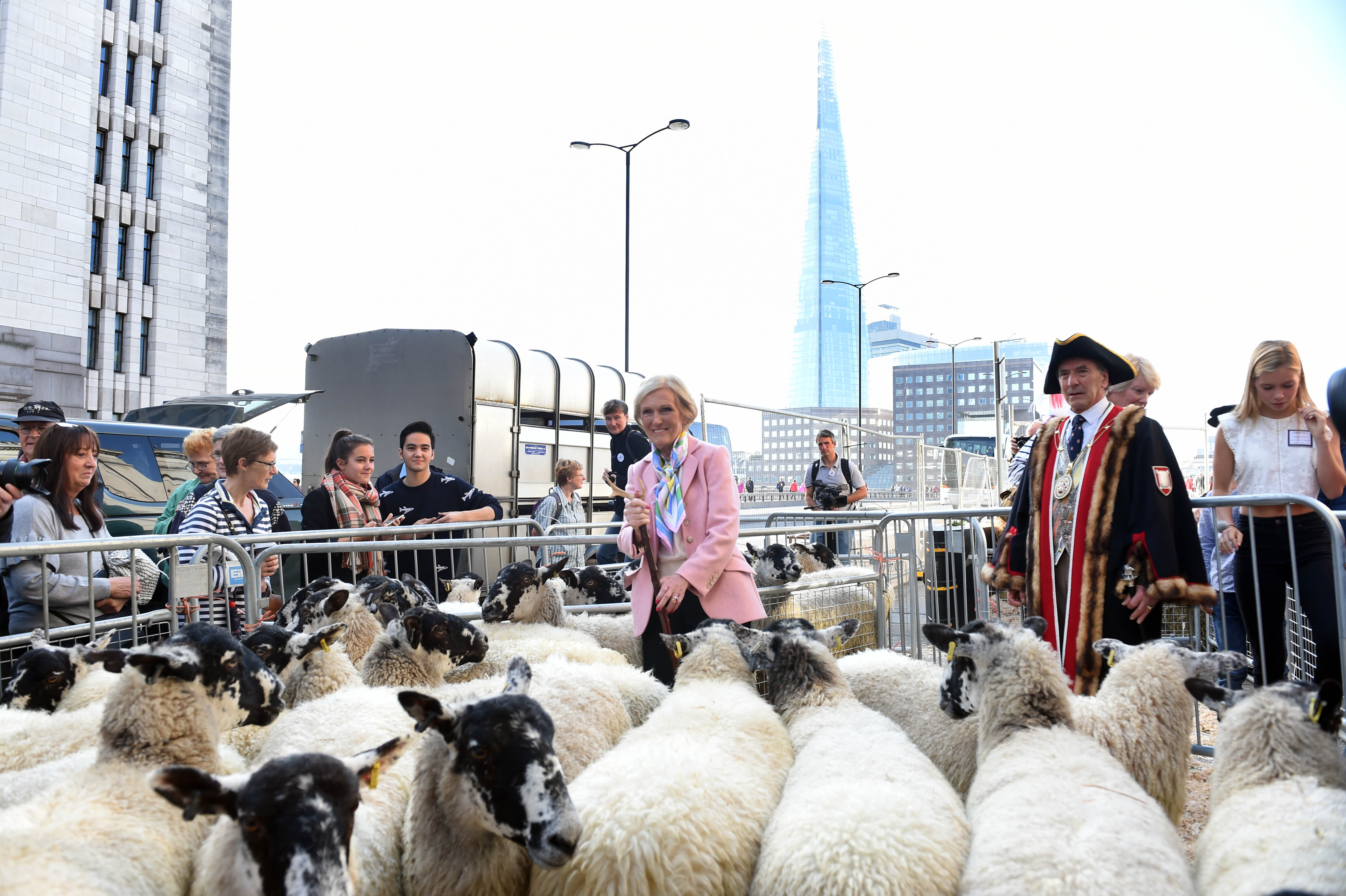 Овце по Лондон бридж  