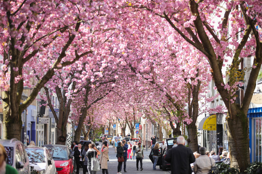 Бон в бонбонено розово 