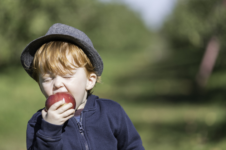 Плодовете и зеленчуците подобряват храносмилането на детето. Дали
