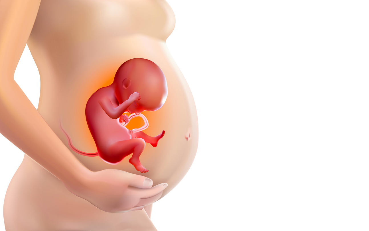 8 любопитни факта за бебето в утробата 