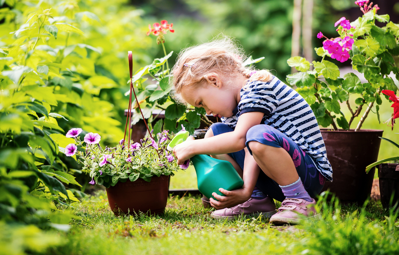 Детските градини у нас с билкова и зеленчукова градина  