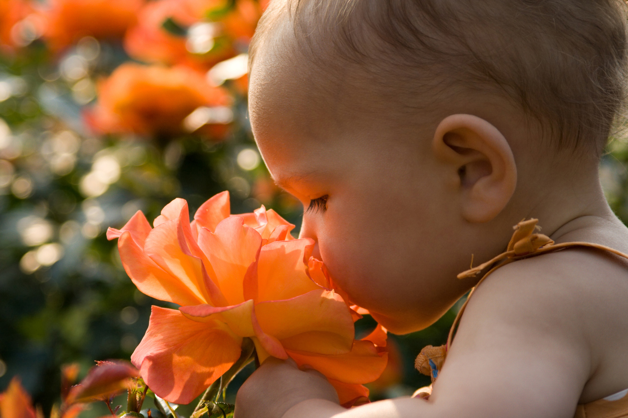 7 силни аромата, които дразнят бебето 