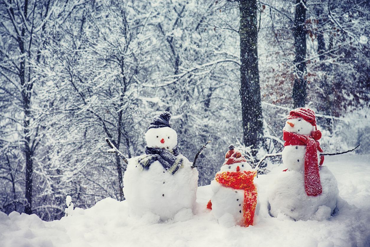 Без сняг посрещаме Международния ден на снежния човек 
