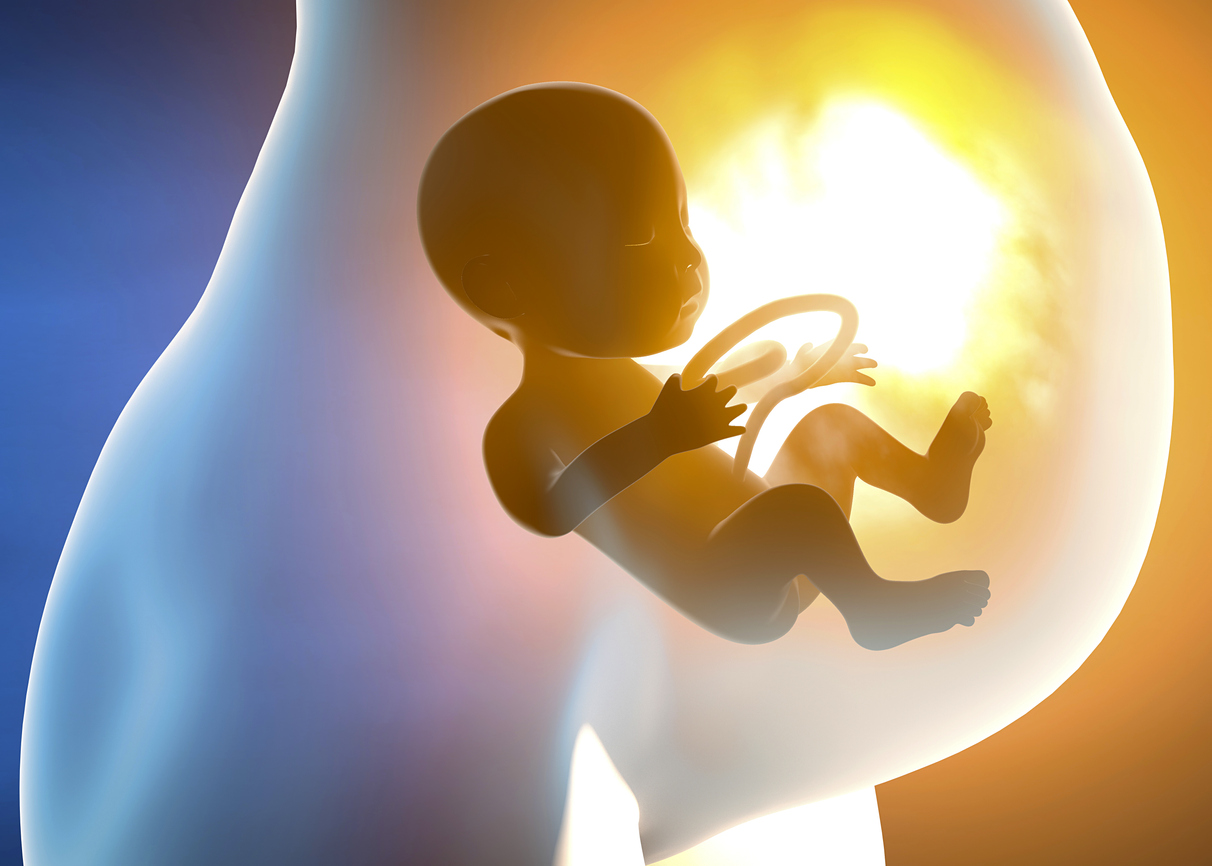 Бебето в утробата: 40 седмици репетиции за живота  