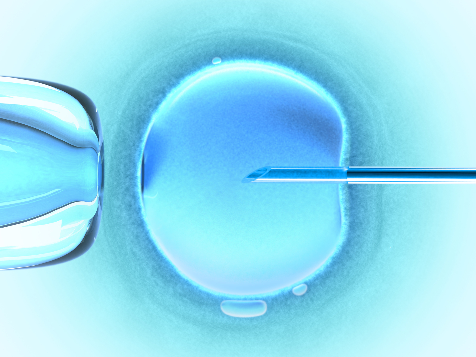 Имплантиране на една оплодена яйцеклетка при инвитро 