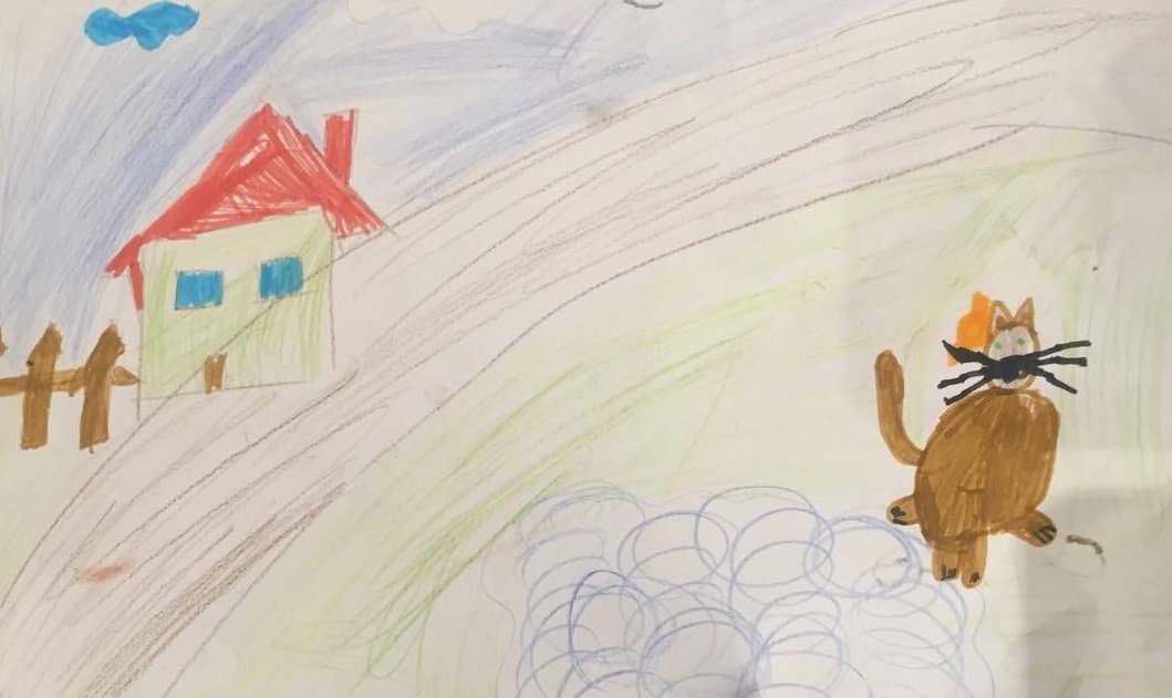 Котка на разходка