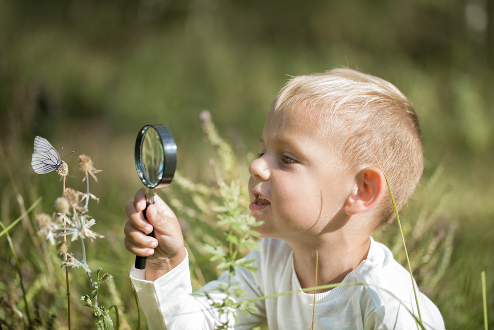 Защо детското любопитство е важно за цял живот 