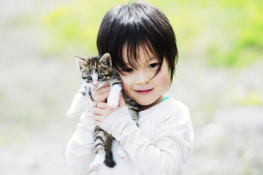 В Межународния ден на котката - тя е спасение за деца с наследствена астма  