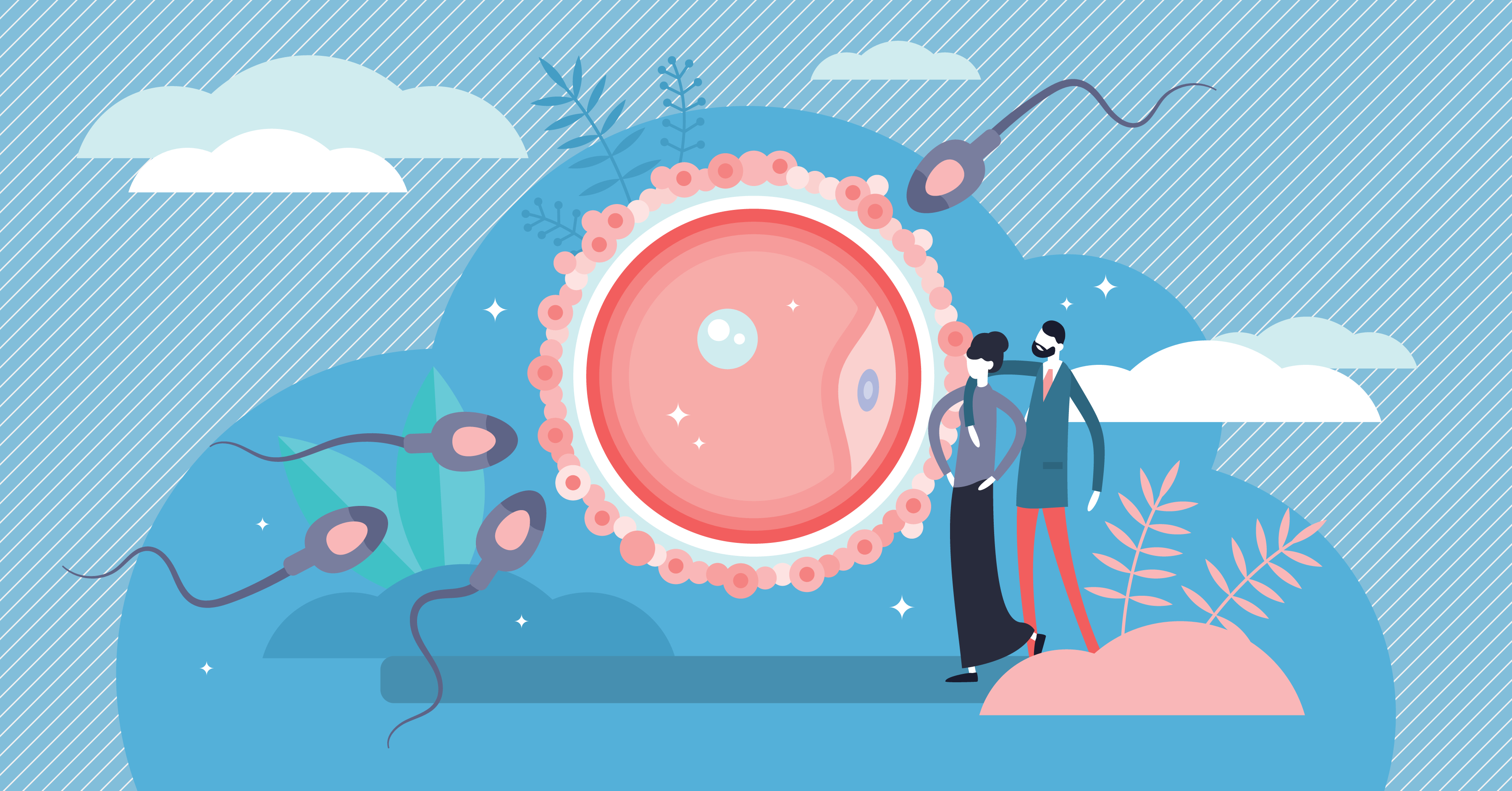 Бебето в утробата - седмица по седмица 