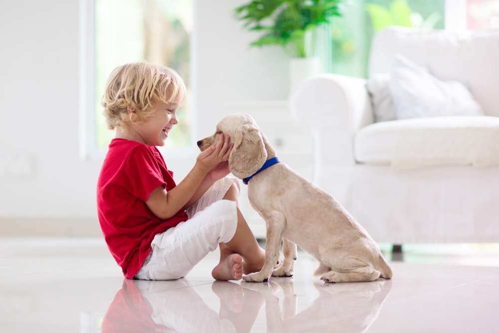 Деца и кучета - как да предотвратим инцидентите 