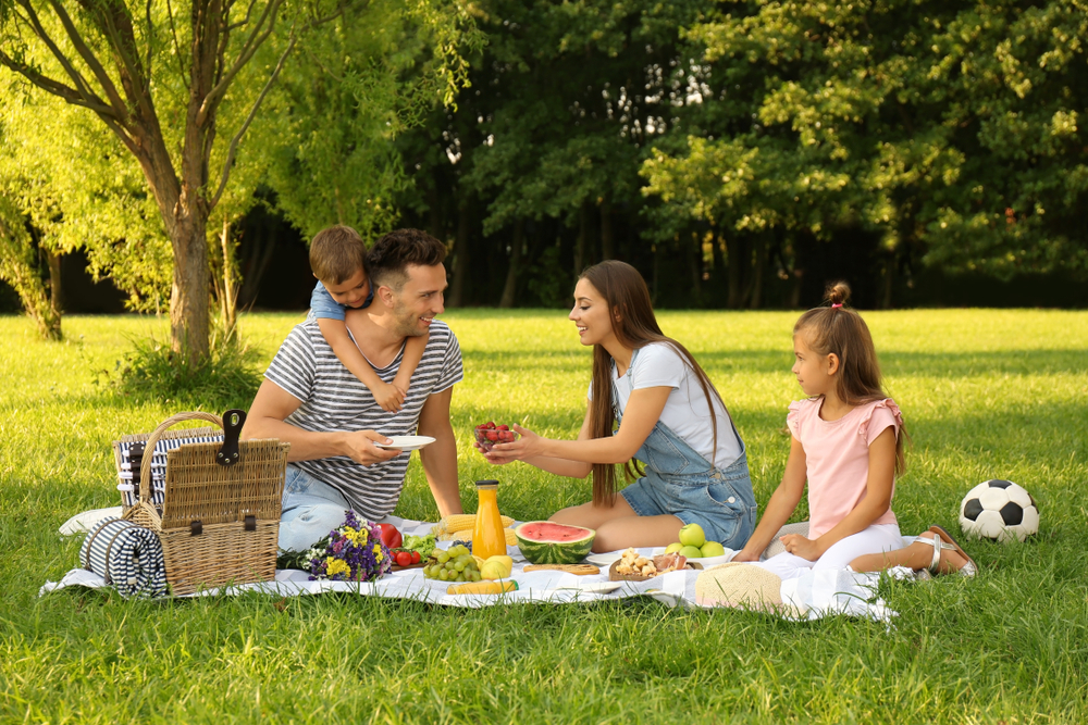 7 идеи за перфектен семеен пикник 
