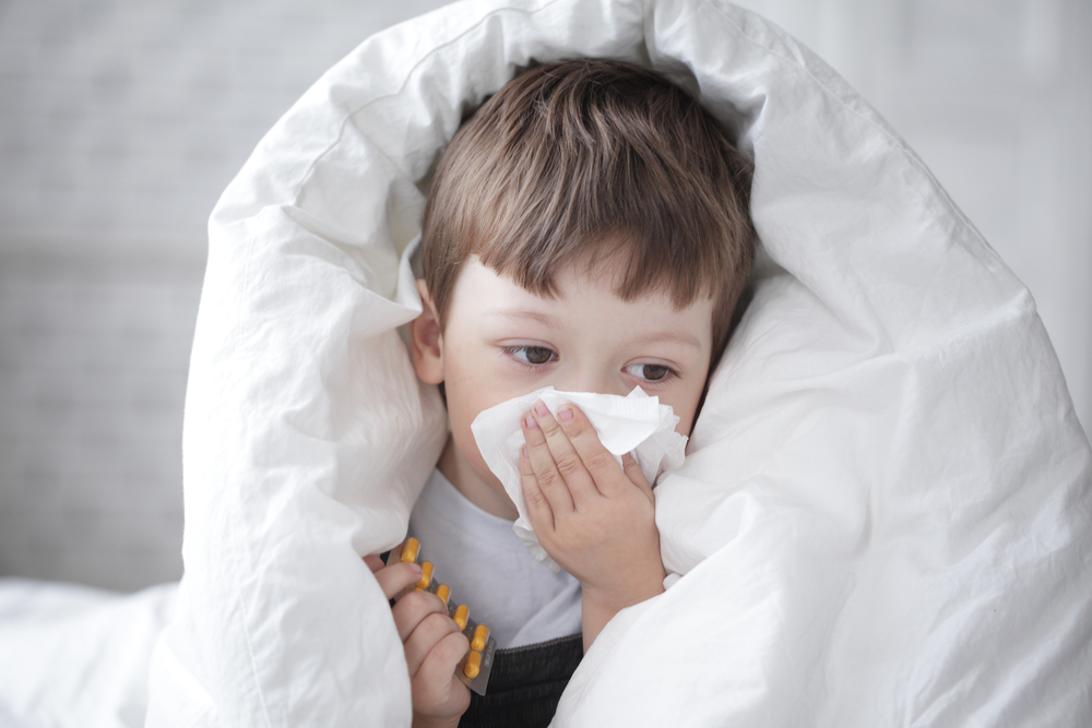 Вируси на хремата ни разболяват  