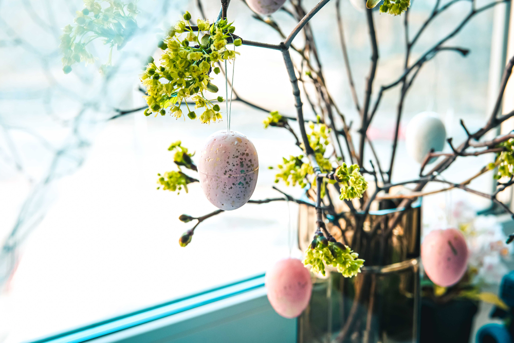 Цветница е: Празнуват всички с имена на цветя, дървета и храсти