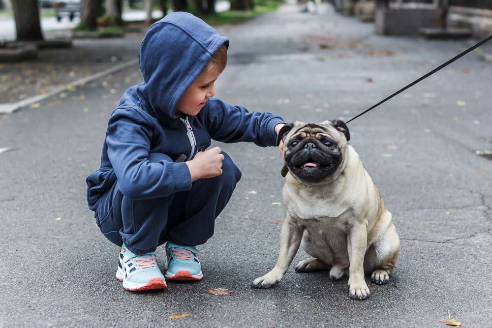 Да научим децата да обичат животните