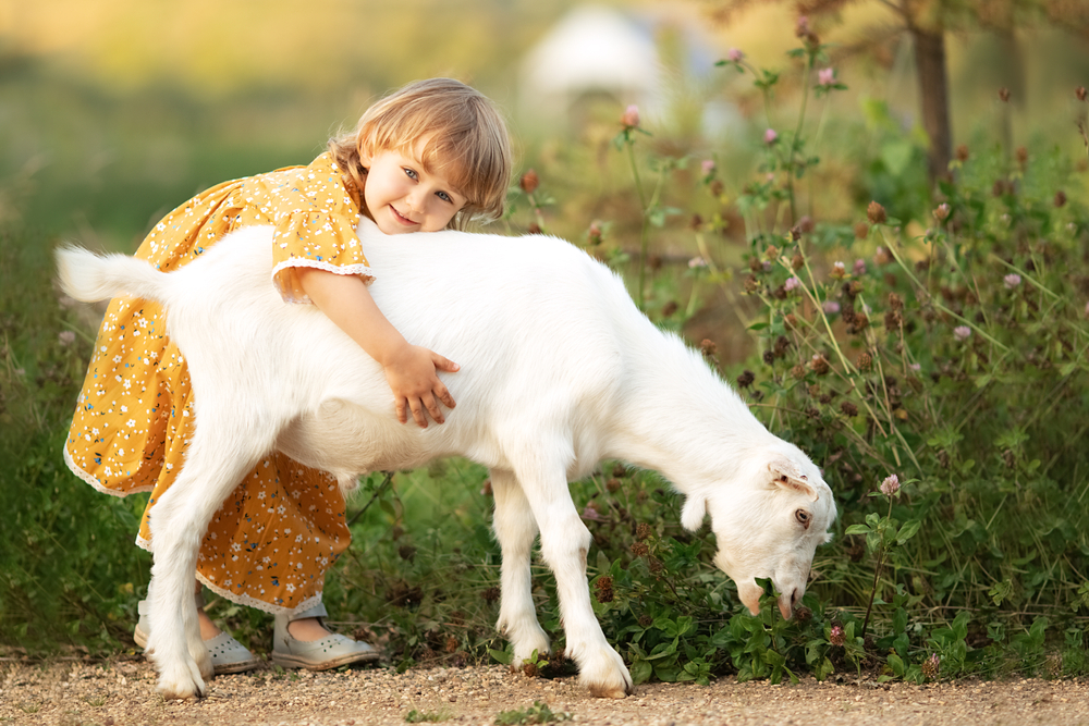 5 причини да посетите с детето истинска ферма 