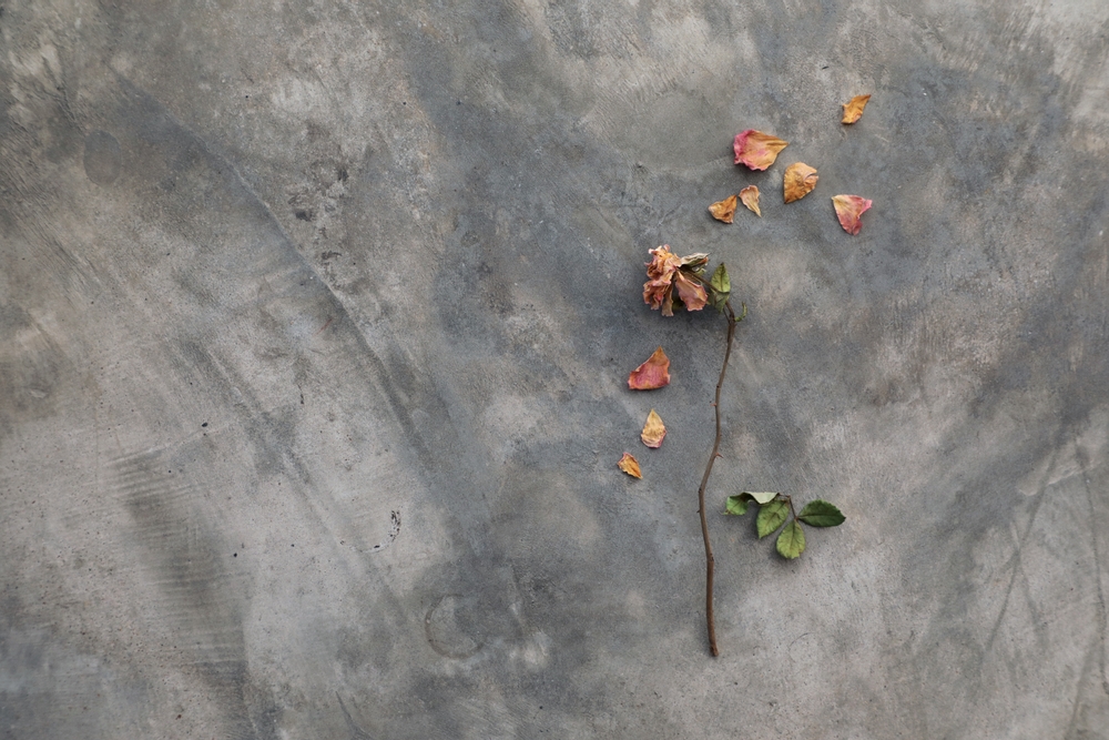 Овен (14 – 20 октомври): Опасявате се от отмъщение