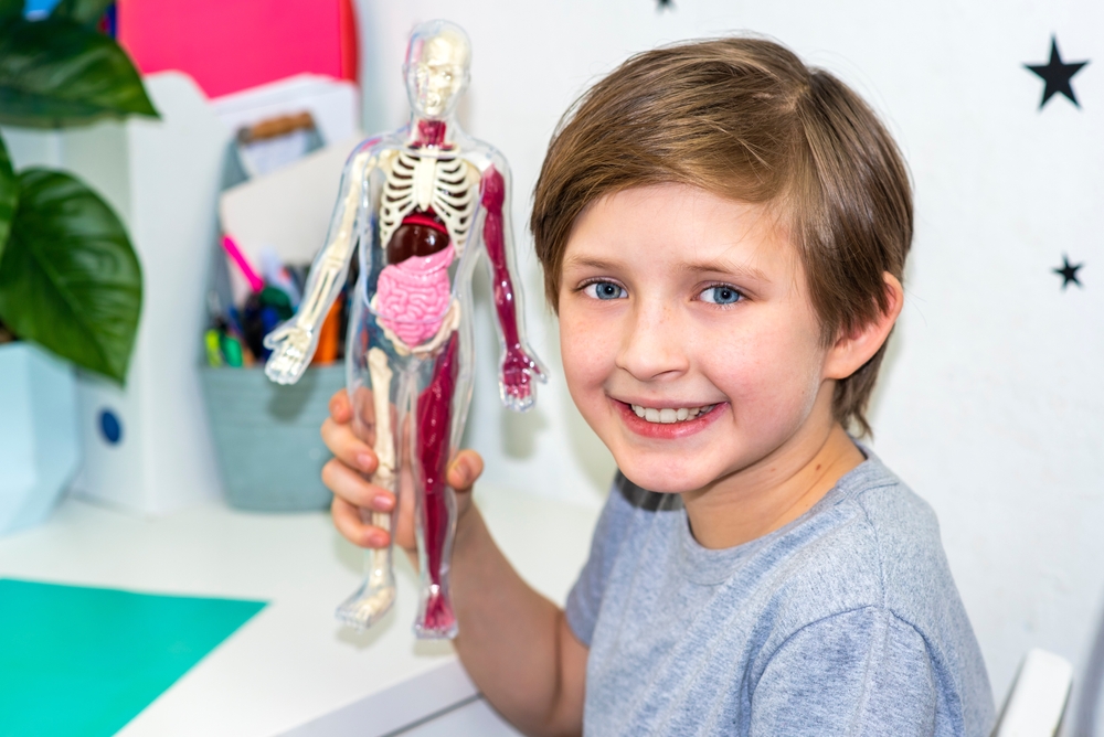 6 невероятни факта за човешкото тяло