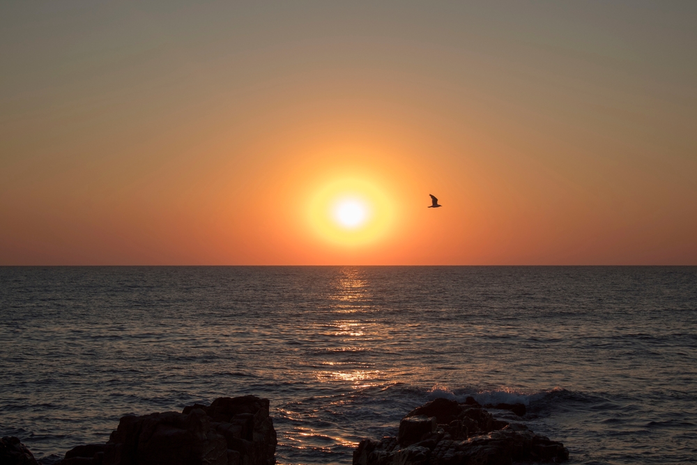 „Черно море“: книга за нашето море и нашите деца