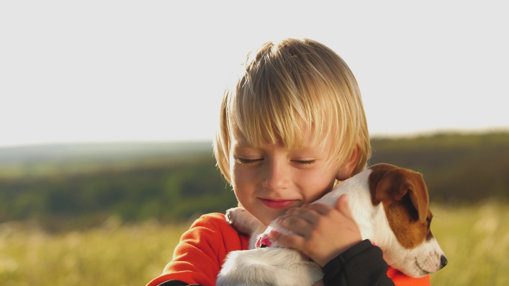 10 важни урока от животните