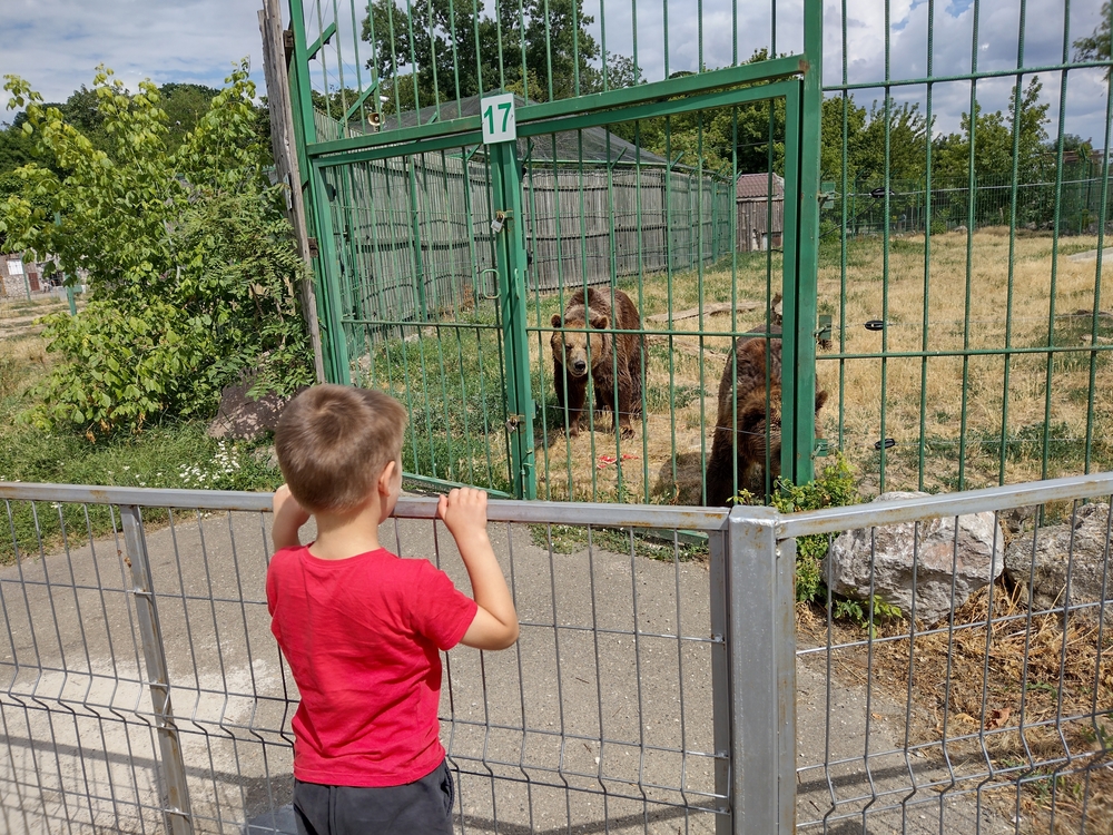 Виц: Баща и син в зоопарка