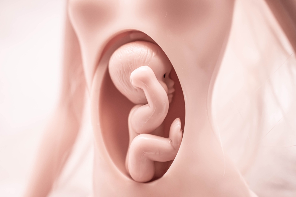 Майката и бебето са като скачени съдове, ама доколко 